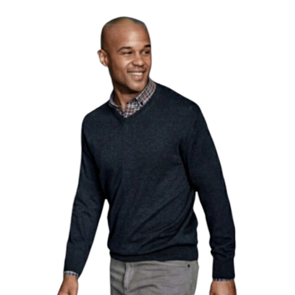 Johnston and Murphy Merino Wool V-neck Sweater Golf Preppy Academia Professorial